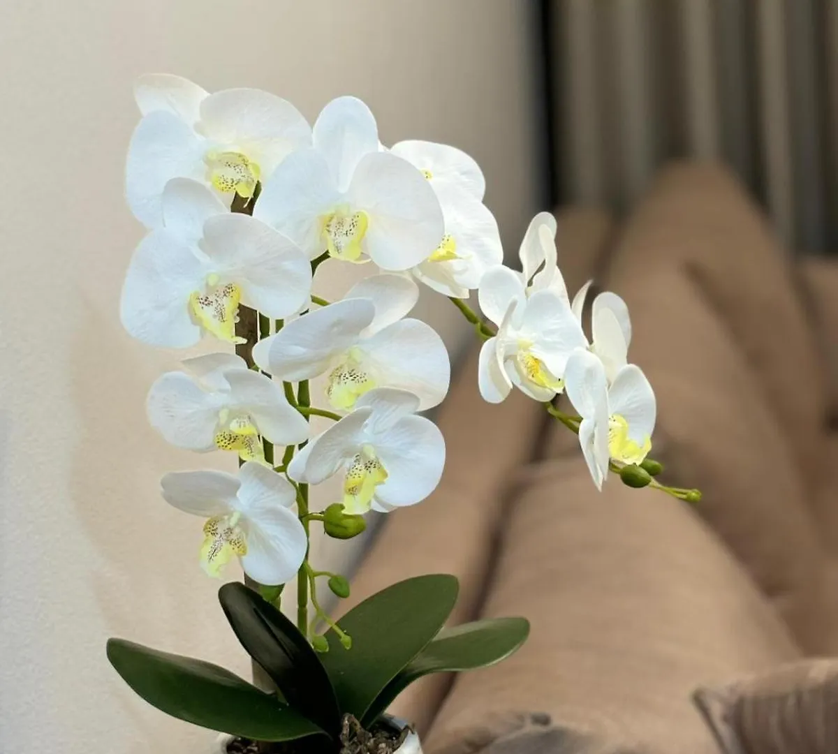 Gloria Prestige Apartment Tiran